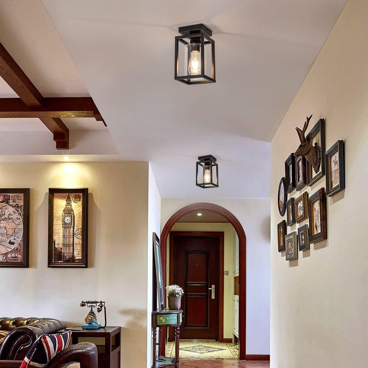 1-Light Black Farmhouse Industrial Retro Cage Semi Flush Mount with Glass - Diamond Home USA