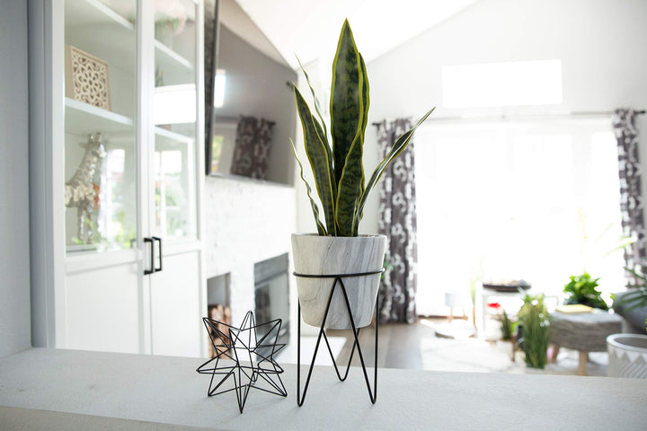Flora Bunda Artificial Plant 1.75 feet Tall Snake Plant in 8 inch Marble - Diamond Home USA