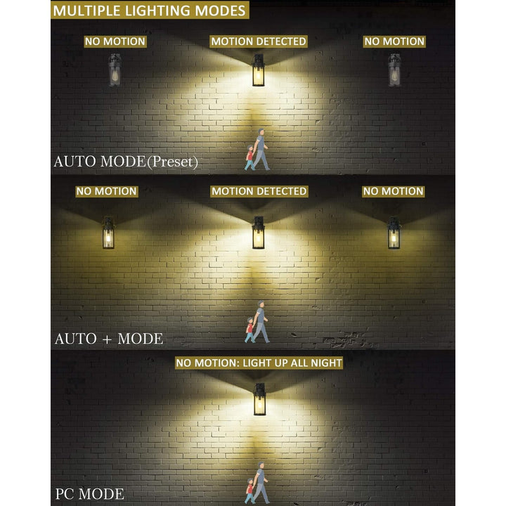 Motion Sensor Outdoor Wall Light with Seeded Glass Black Modern Contemporary - Diamond Home USA