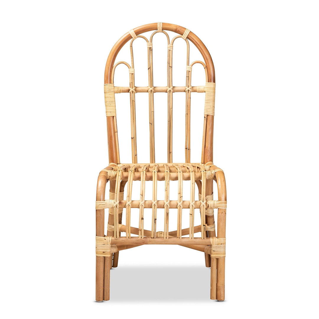 Modern and Contemporary Natural Finished Rattan Chair Finish - Diamond Home USA