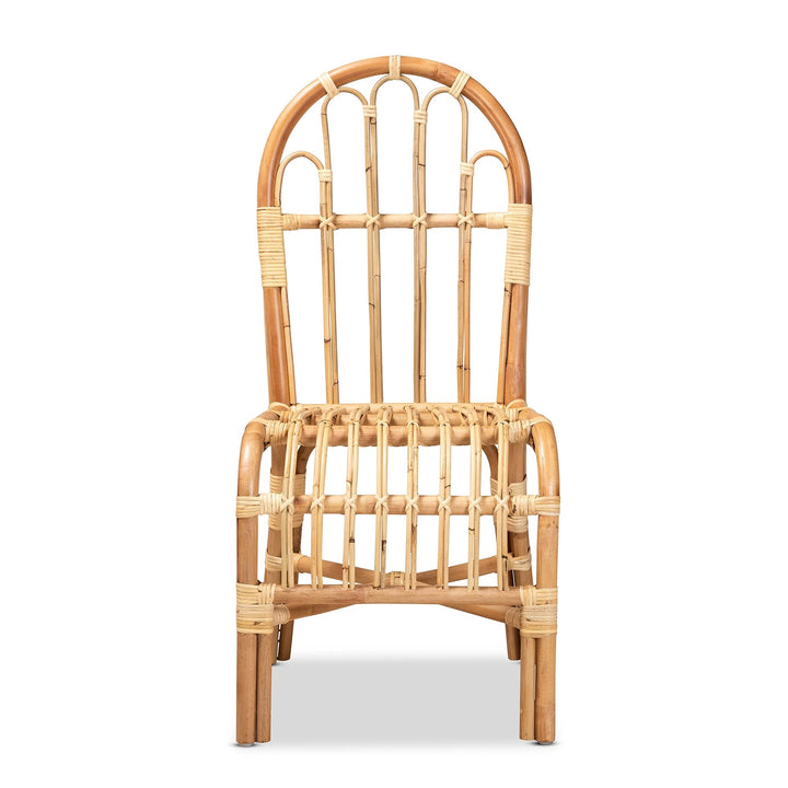 Modern and Contemporary Natural Finished Rattan Chair Finish - Diamond Home USA
