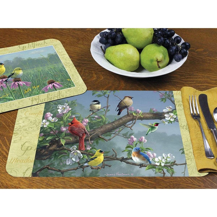 Reversible Wipe-Clean Plastic Placemats Set of 4 Beautiful Multi Color Rectangle - Diamond Home USA