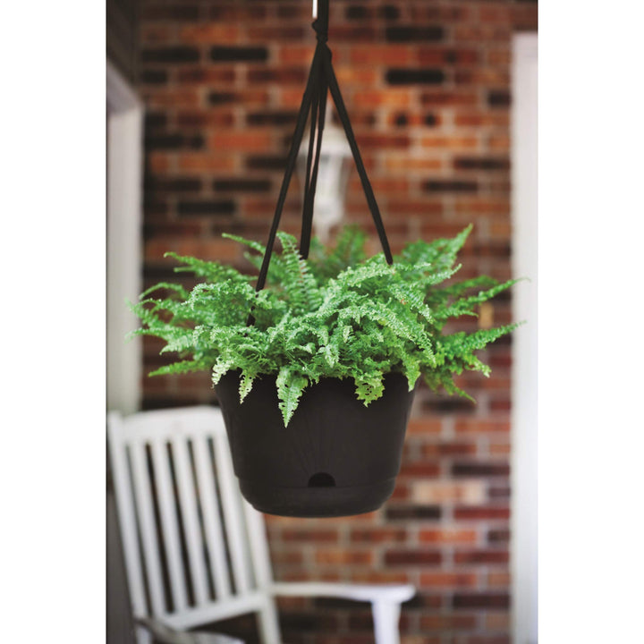 Bloem ucca Self Watering Hanging Basket: 13" - Terra Cotta - Durable and ong - Diamond Home USA