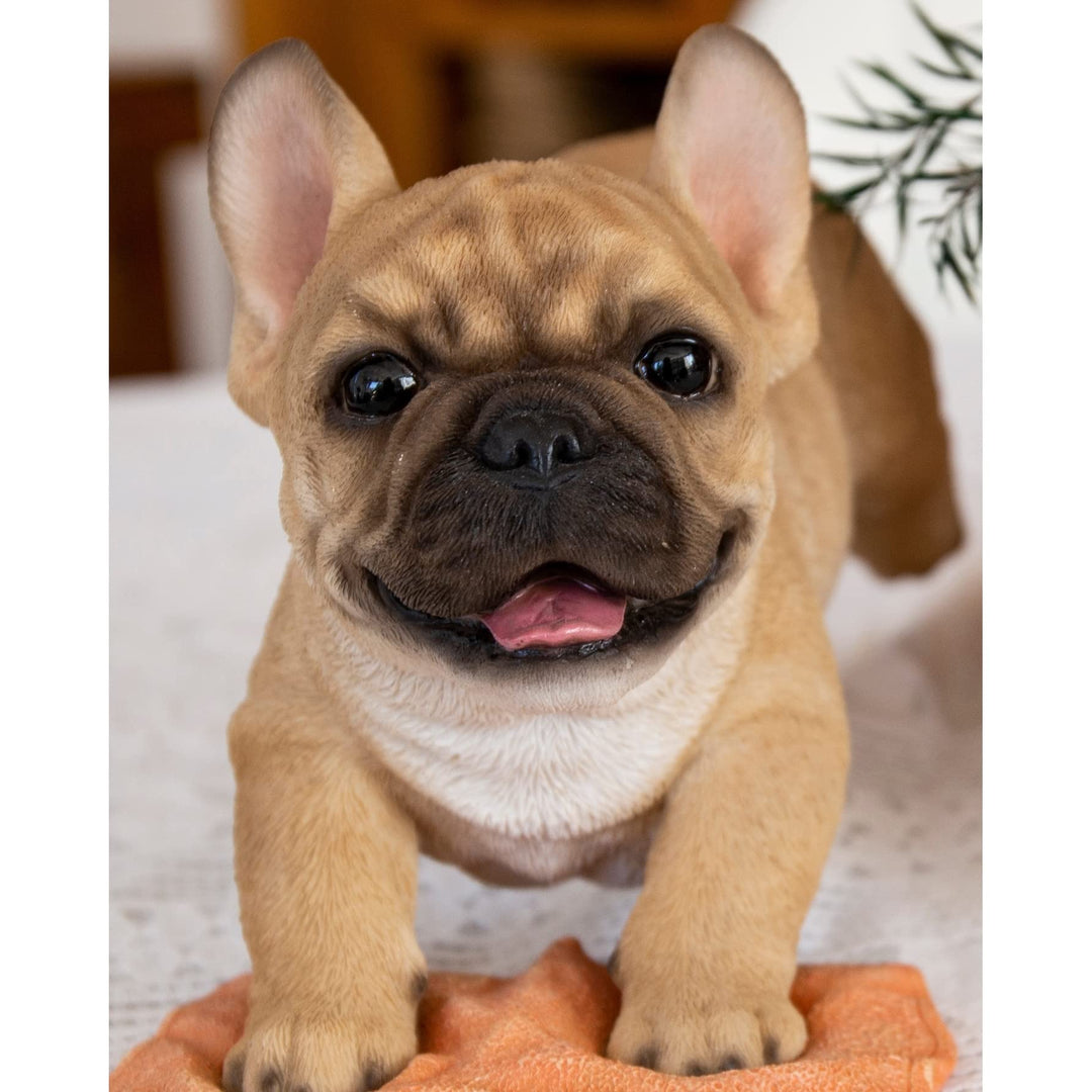 French Bulldog Mopping The Floor Ultra Realistic Garden Statue Multi Color - Diamond Home USA