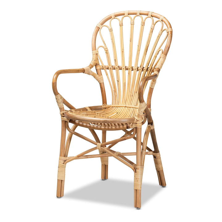 Modern and Contemporary Natural Finished Rattan Armchair Finish - Diamond Home USA