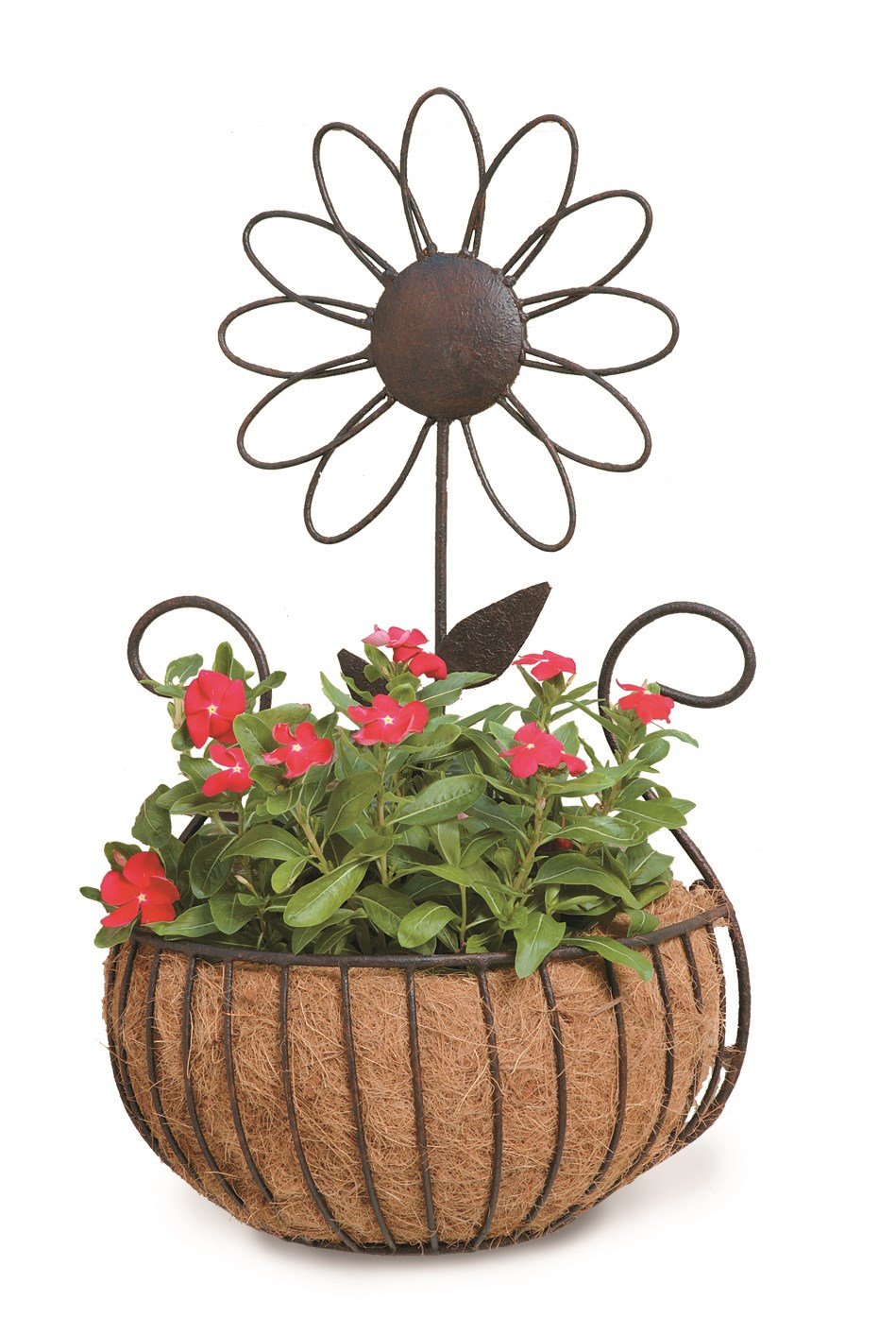 Deer Park WB135 Daisy Wall Basket with Cocoa Moss Liner