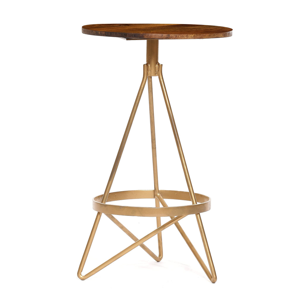 25-inch Elm/Gold Counter Height Stool Brown Mid-Century Modern Wood Finish - Diamond Home USA