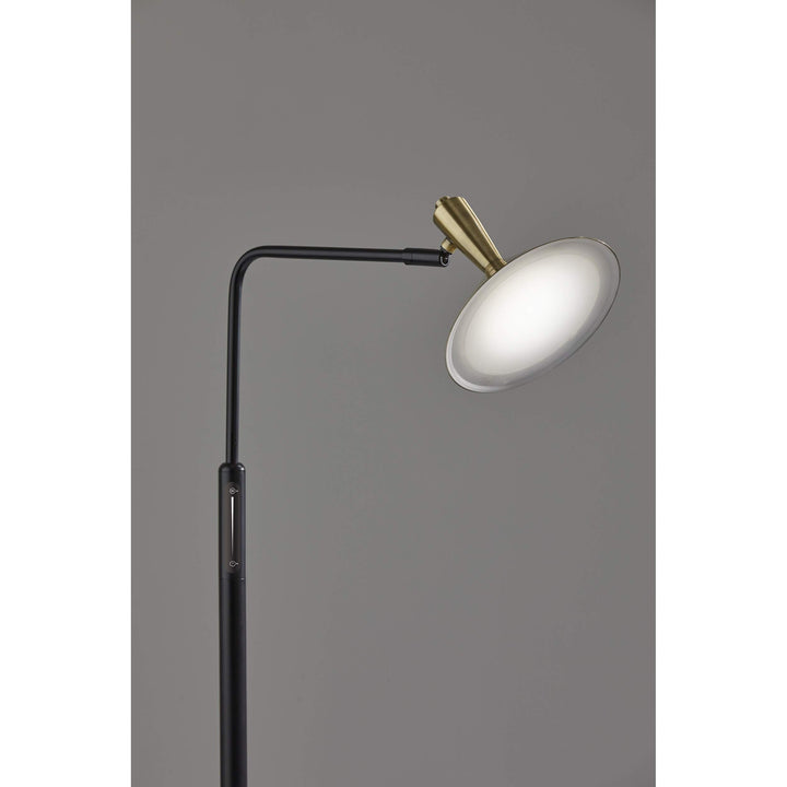 Black Antique Brass Led Floor Lamp Mid-Century Modern Contemporary - Diamond Home USA
