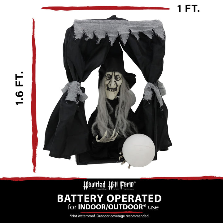 Haunted Hill Farm 1.6 ft. Hanging Animated Witch Decoration|Halloween Haunted - Diamond Home USA