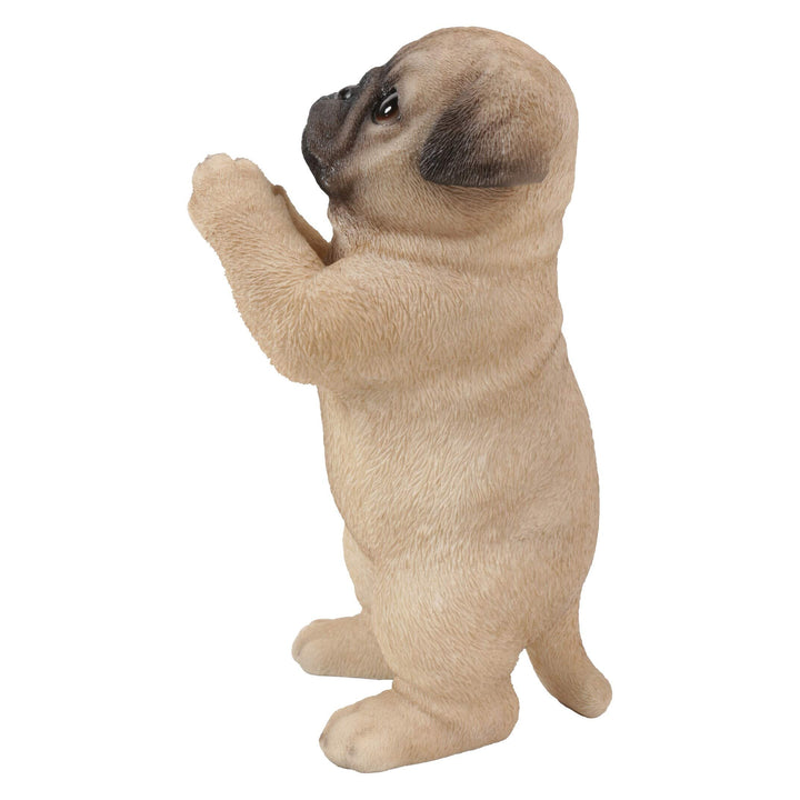 Praying Pug Puppy Statue Brown Polyresin - Diamond Home USA
