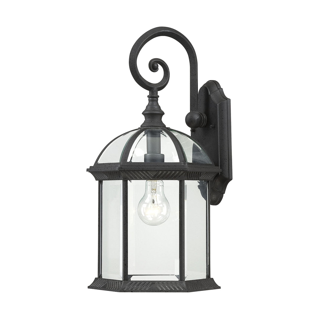 Nuvo 60/4966 One Light Outdoor Wall Mount 19-Inches Black