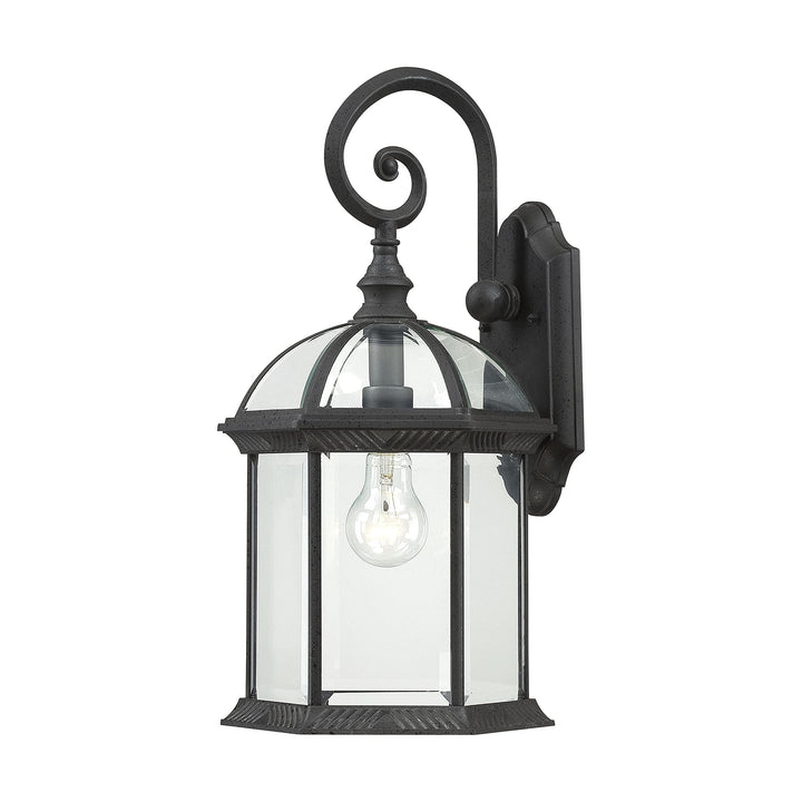 Nuvo 60/4966 One Light Outdoor Wall Mount 19-Inches Black
