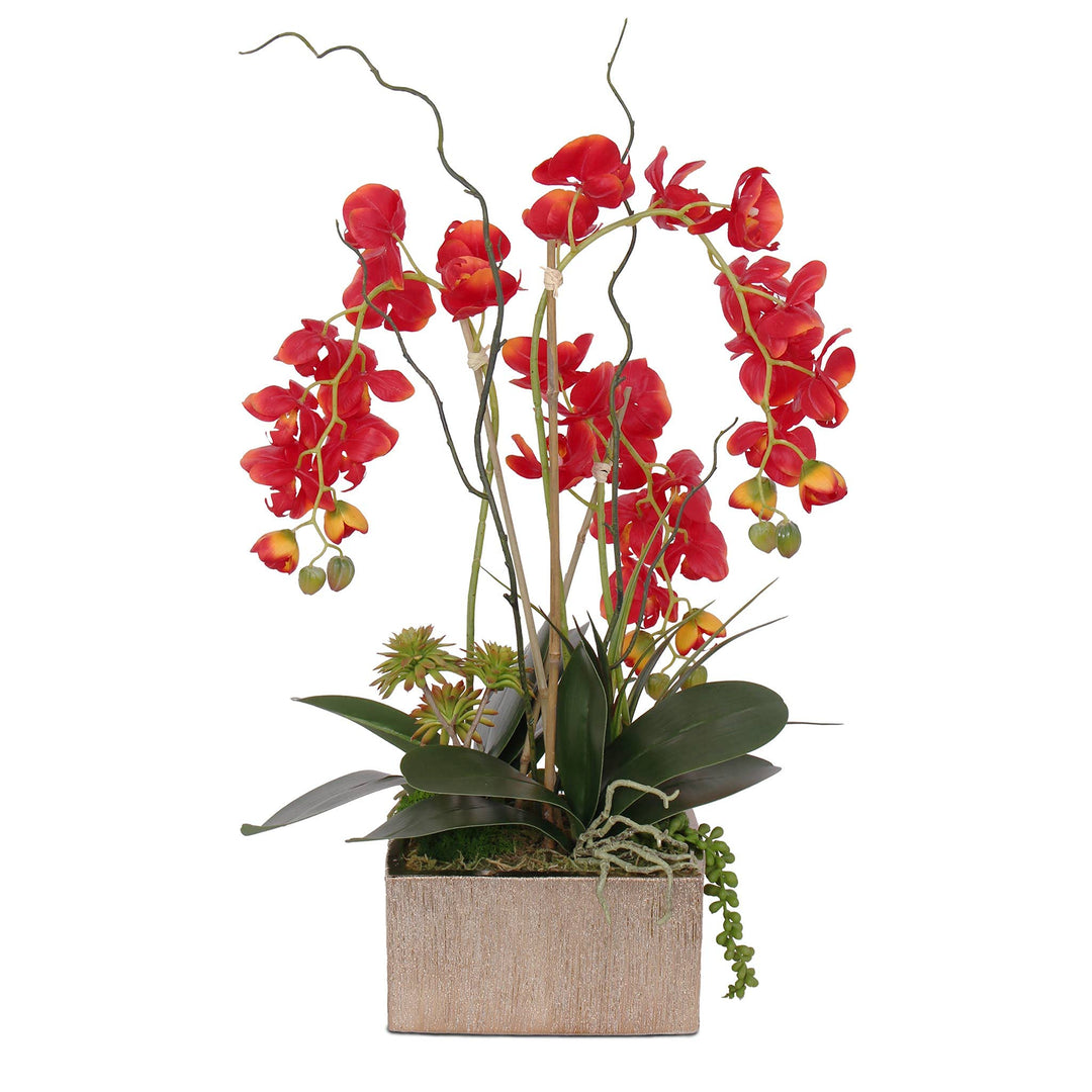 Jenny Silks Real Touch Red Phalaenopsis Orchids Succulents and Curly Willow - Diamond Home USA