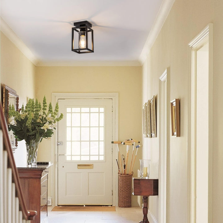 1-Light Black Farmhouse Industrial Retro Cage Semi Flush Mount with Glass - Diamond Home USA