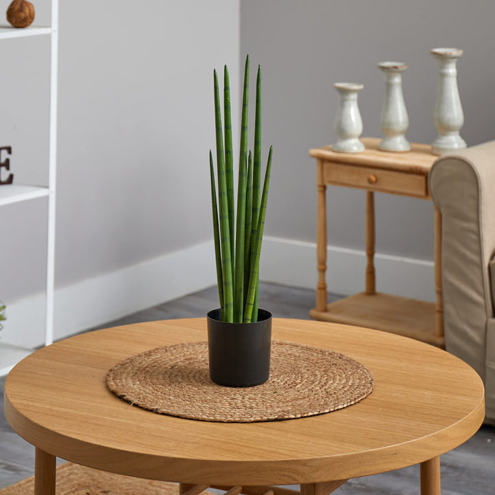Nearly Natural 23in. Sansevieria Snake Artificial Plant - Diamond Home USA