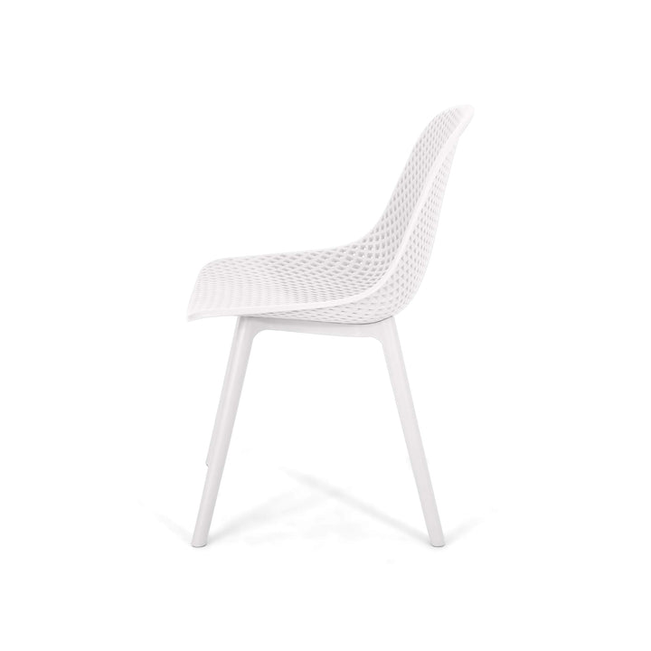 Christopher Knight Home Darleen Outdoor Dining Chair (Set of 2)
