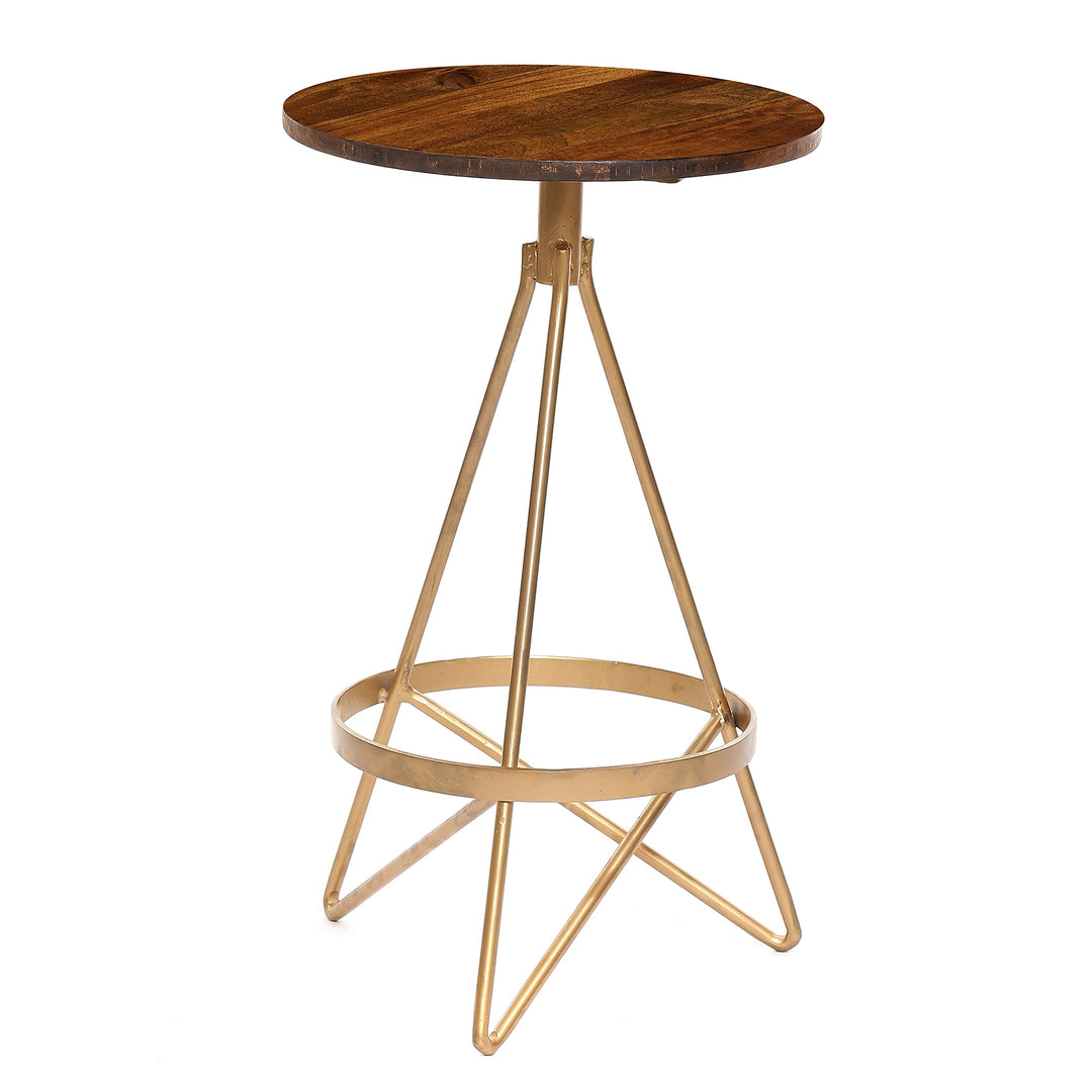 25-inch Elm/Gold Counter Height Stool Brown Mid-Century Modern Wood Finish