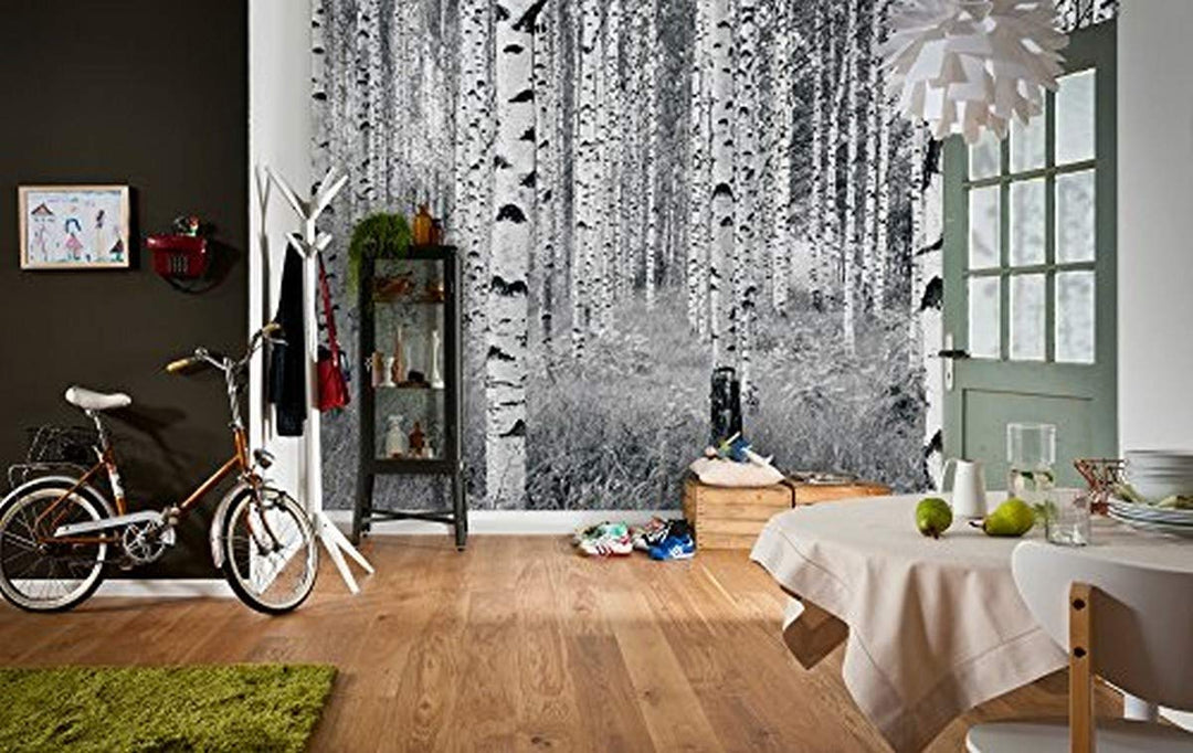 Komar XXL4-023 Birch Forest Wall Mural White & Off-White