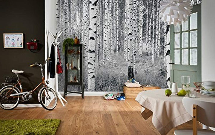 Komar XXL4-023 Birch Forest Wall Mural White & Off-White