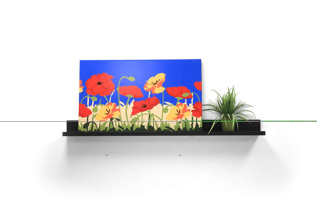 InPlace Shelving 47.24" W x 4.5" D x 3.5" H Black Picture Ledge Shelf 9602060E - Diamond Home USA