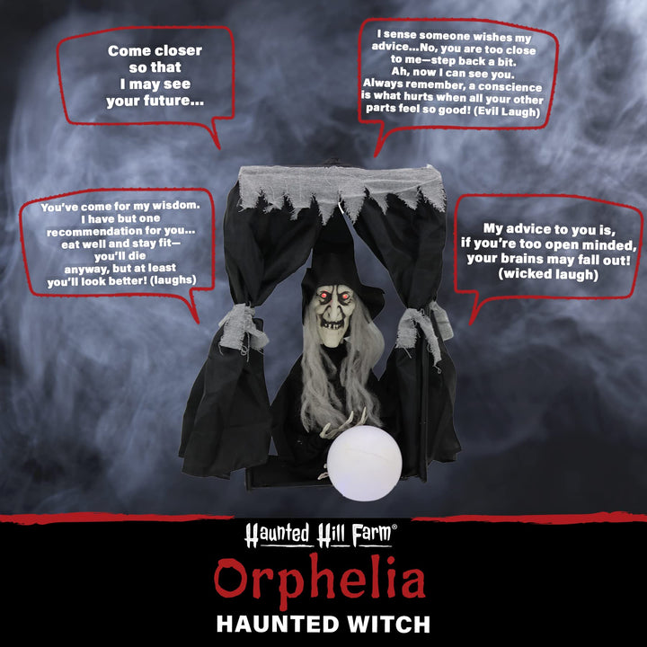 Haunted Hill Farm 1.6 ft. Hanging Animated Witch Decoration|Halloween Haunted - Diamond Home USA