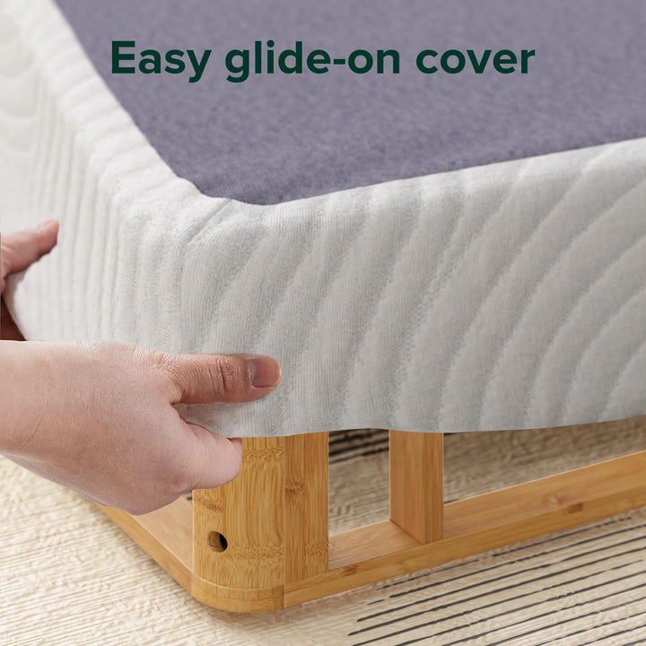 ZINUS Edgar 8 Inch Bamboo Box Spring Mattress Foundation Sturdy Bamboo Structure Queen