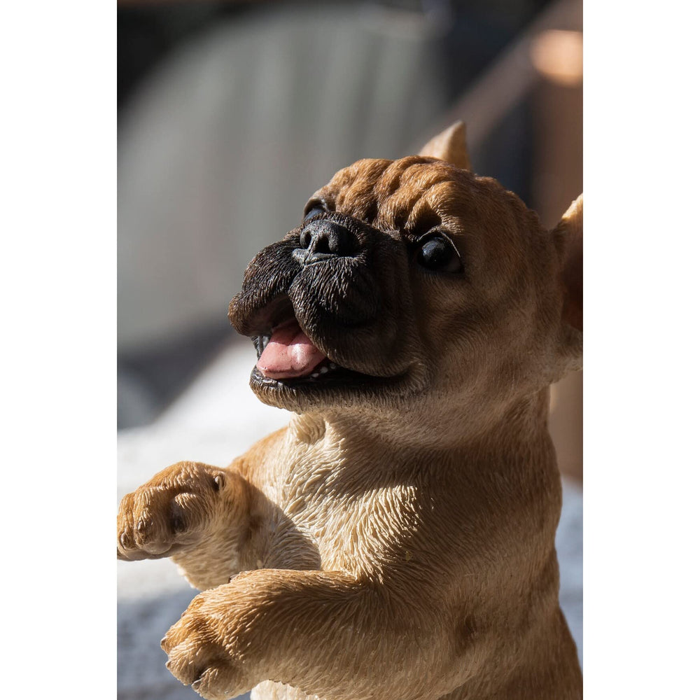 Standing French Bulldog Ultra Realistic Garden Statue Multi Color Polyresin - Diamond Home USA