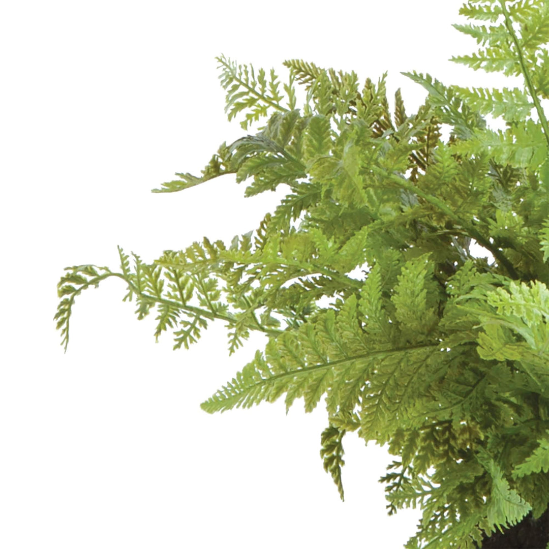 Soft Fern Drop-in 10.5" Green - Diamond Home USA