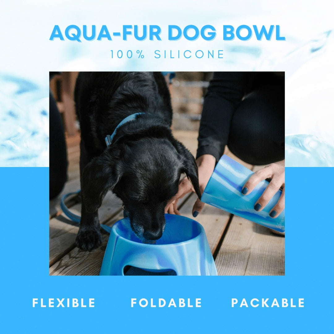 Silipint: Aqua-Fur Silicone Dog Bowl: Hippie Hops -18oz Colapsible/Foldable - Diamond Home USA