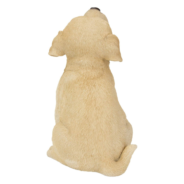 Howling Labrador Puppy Statue Yellow Polyresin - Diamond Home USA