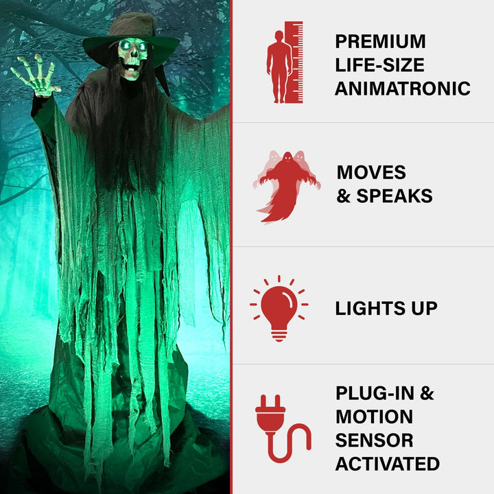 Haunted Hill Farm 7.5-Ft. Tall Macabre Skeleton Witch Motion-Activated Talking - Diamond Home USA