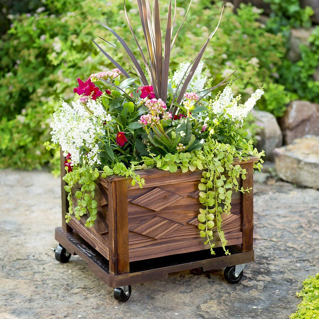 DeVault Enterprises DEVSQ16EX Square Plant Dolly Espresso 16x16x4 - Diamond Home USA