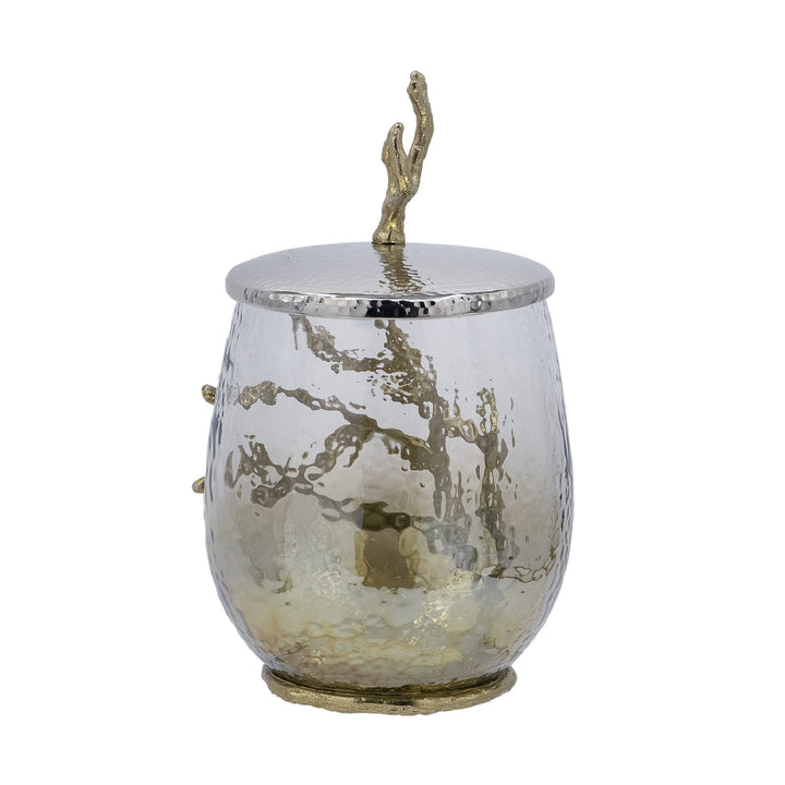 Branch Lidded Jar Gold/Clear/Silver Clear Gold Silver Transitional Glass - Diamond Home USA