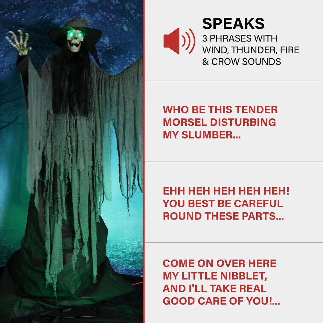 Haunted Hill Farm 7.5-Ft. Tall Macabre Skeleton Witch Motion-Activated Talking - Diamond Home USA