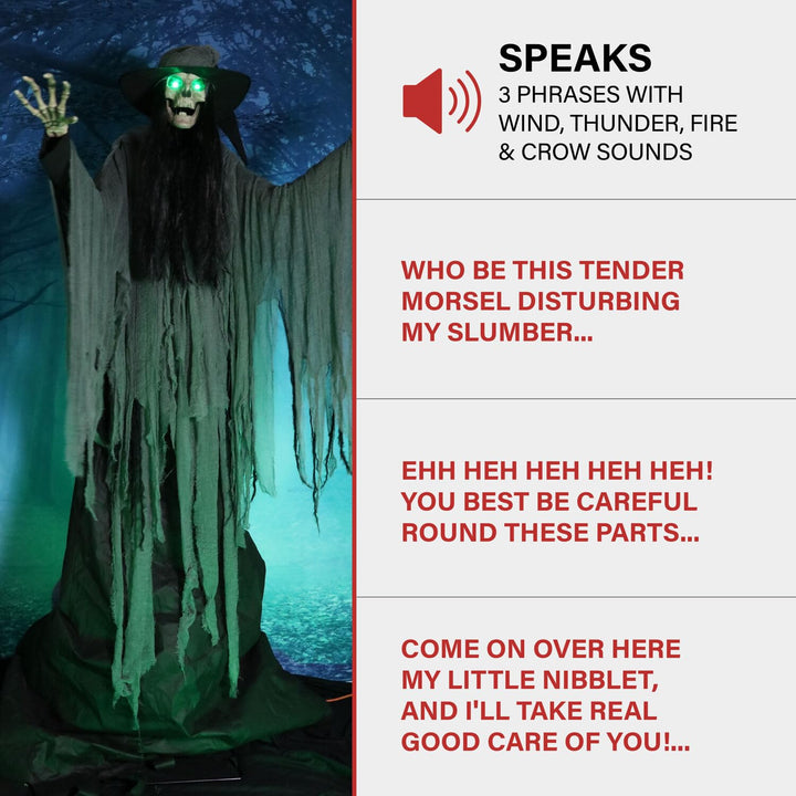Haunted Hill Farm 7.5-Ft. Tall Macabre Skeleton Witch Motion-Activated Talking - Diamond Home USA