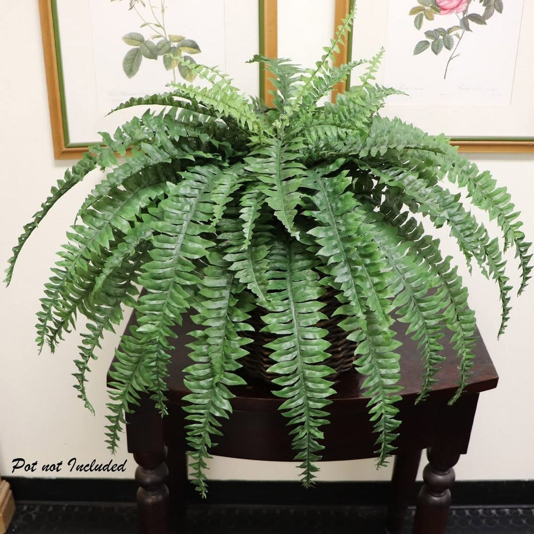 Silk Boston Fern Uv Resistant 48 Inch Diameter 60 Fronds 48" - Diamond Home USA