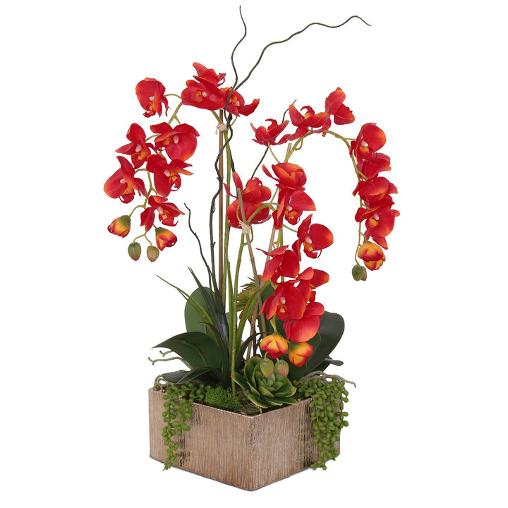 Jenny Silks Real Touch Red Phalaenopsis Orchids Succulents and Curly Willow - Diamond Home USA