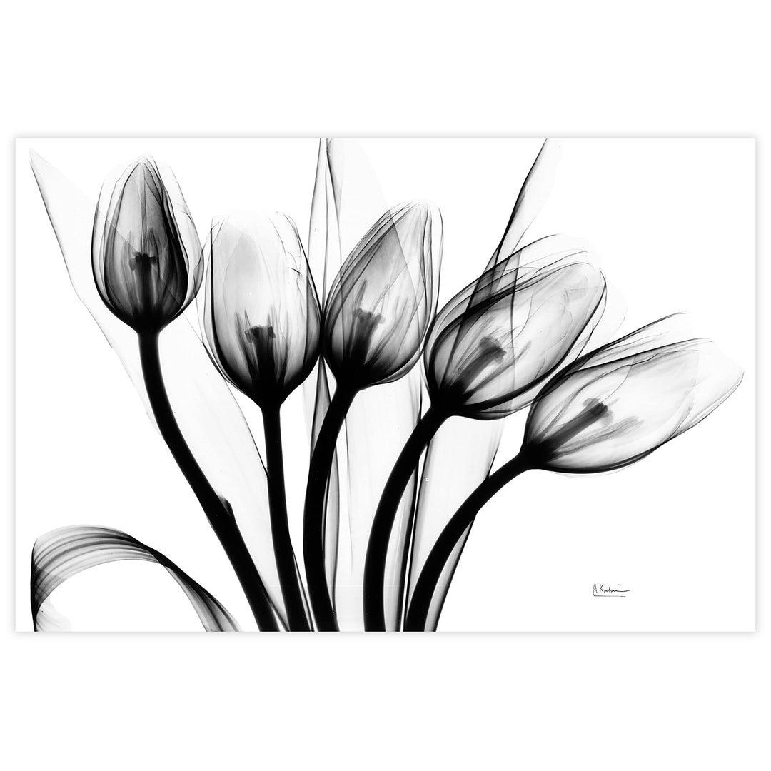 Marching Tulips Frameless Free Floating Tempered Glass Panel aphic Wall Art - Diamond Home USA