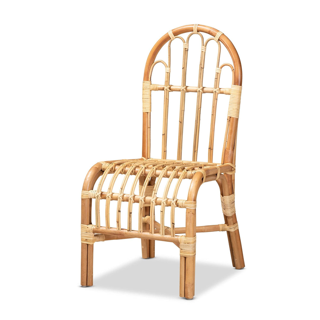 Modern and Contemporary Natural Finished Rattan Chair Finish - Diamond Home USA