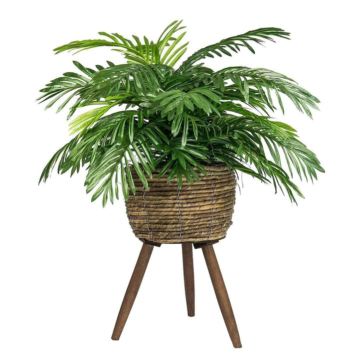 30-inch Artificial Phoenix Palm in Basket Stand Green