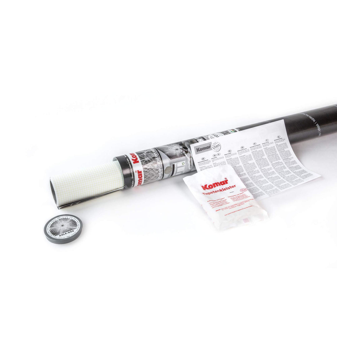 Komar XXL4-023 Birch Forest Wall Mural White & Off-White - Diamond Home USA