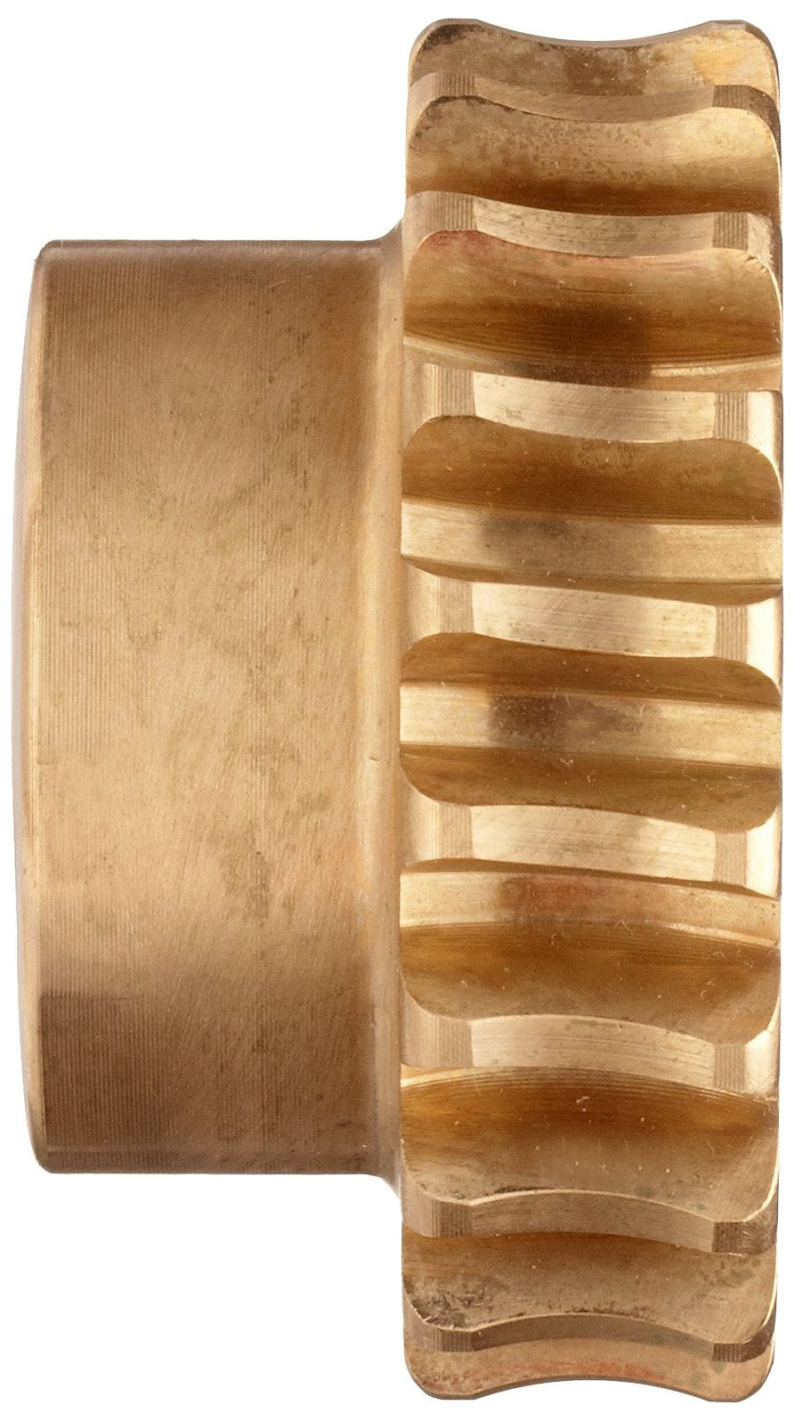 Boston Gear GB1050A Worm Gear Plain 14.5 PA Pressure Angle 0.500" Bore 20:1 - Diamond Home USA