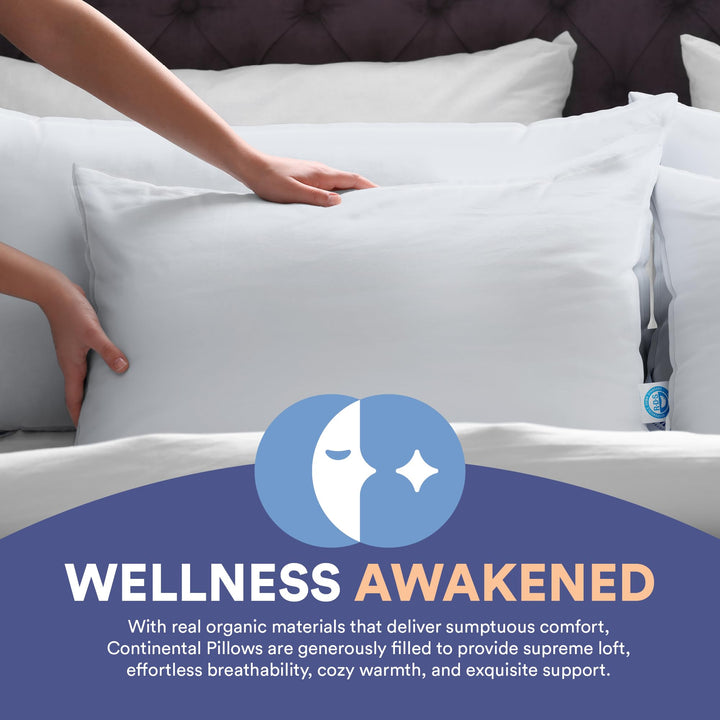 Continental Bedding Luxury Goose Feather Down Pillows Standard Size Pack of 1 - Diamond Home USA