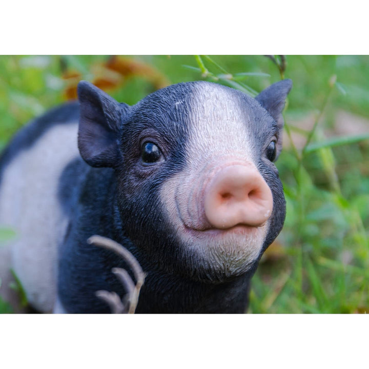 Baby Pig Standing Black and White Ultra Realistic Garden Statue Multi Color - Diamond Home USA