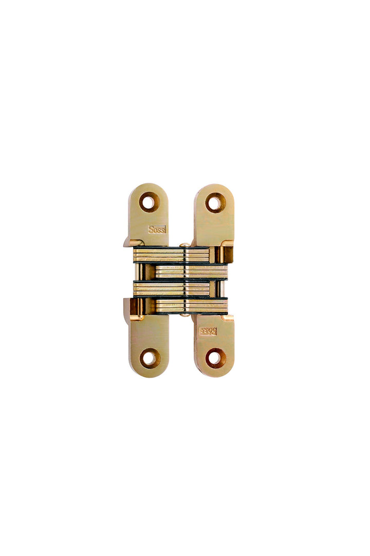 Hinge Invisible Satin Brass 3 3/4 in