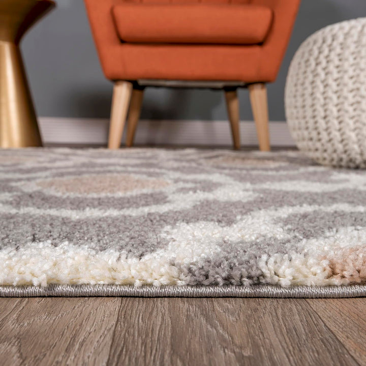 Porch & Den Touro Trellis Shag Area Rug