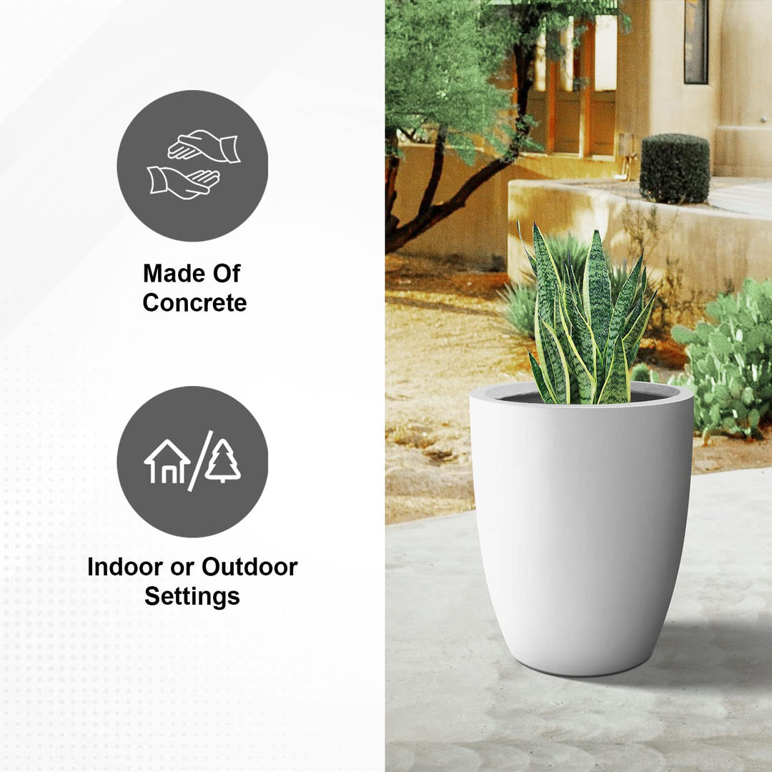 PLANTARA Round Concrete/Fiberglass Indoor & Outdoor Lightweight Decorative Plant - Diamond Home USA