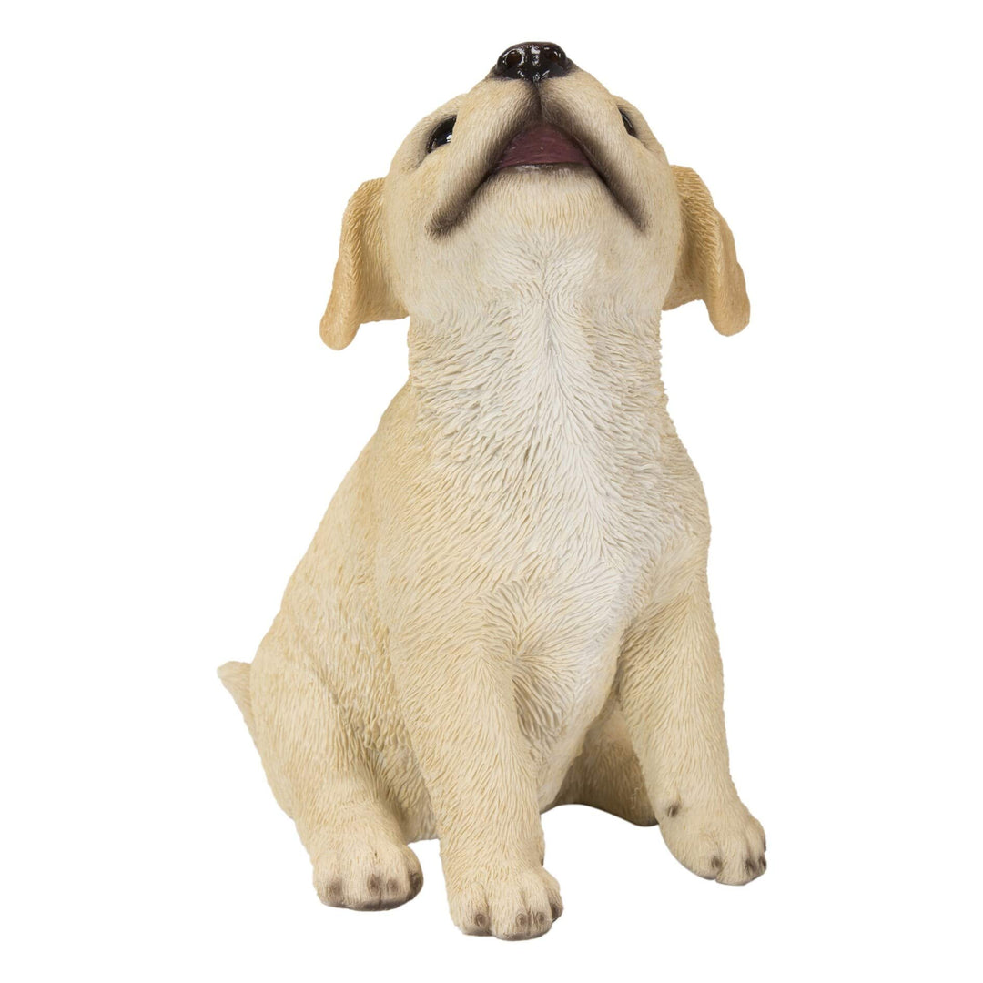 Howling Labrador Puppy Statue Yellow Polyresin - Diamond Home USA