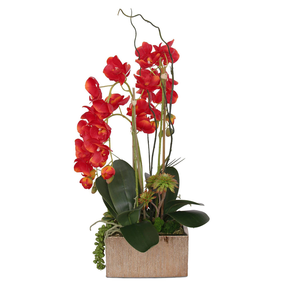 Jenny Silks Real Touch Red Phalaenopsis Orchids Succulents and Curly Willow - Diamond Home USA