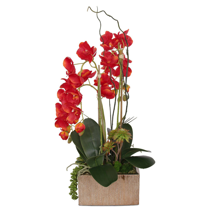 Jenny Silks Real Touch Red Phalaenopsis Orchids Succulents and Curly Willow - Diamond Home USA